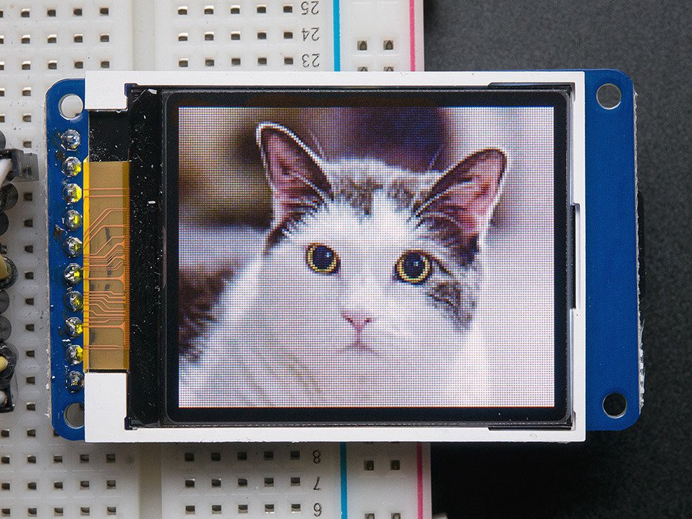 Cat pictures are the primary advised use case for this product